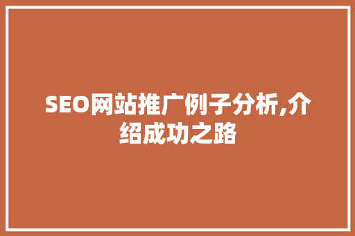 SEO网站推广例子分析,介绍成功之路
