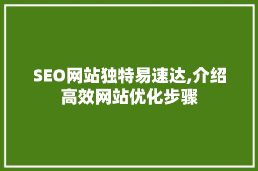 SEO网站独特易速达,介绍高效网站优化步骤