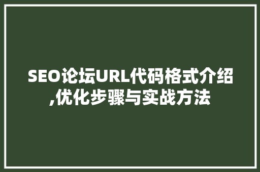 SEO论坛URL代码格式介绍,优化步骤与实战方法