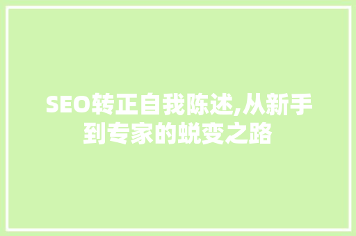 SEO转正自我陈述,从新手到专家的蜕变之路