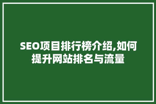 SEO项目排行榜介绍,如何提升网站排名与流量