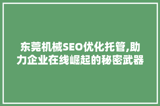 东莞机械SEO优化托管,助力企业在线崛起的秘密武器
