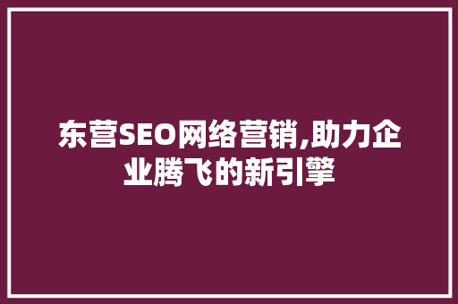 东营SEO网络营销,助力企业腾飞的新引擎