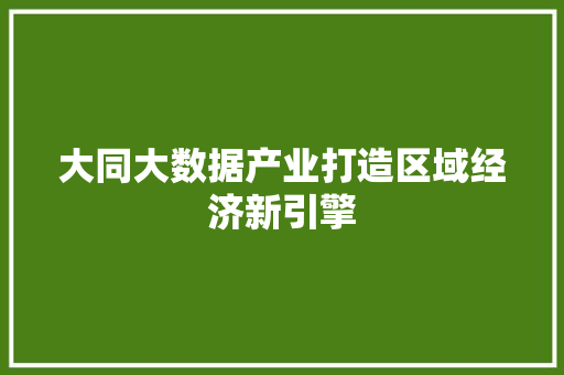 大同大数据产业打造区域经济新引擎  第1张