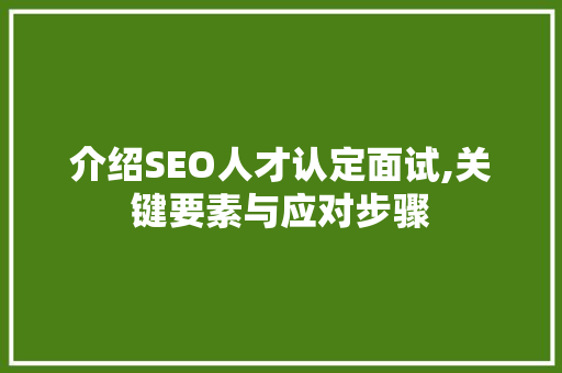 介绍SEO人才认定面试,关键要素与应对步骤