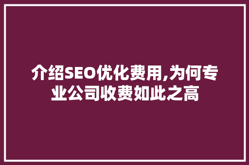 介绍SEO优化费用,为何专业公司收费如此之高