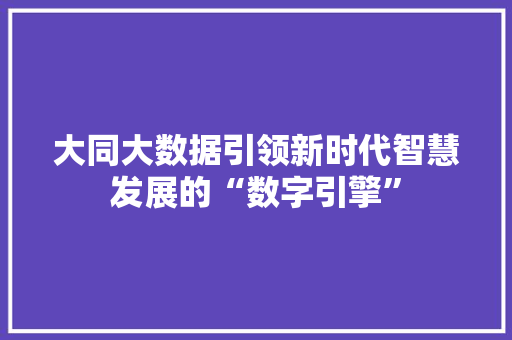 大同大数据引领新时代智慧发展的“数字引擎”  第1张