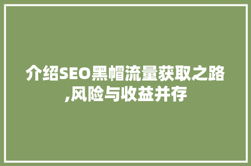 介绍SEO黑帽流量获取之路,风险与收益并存