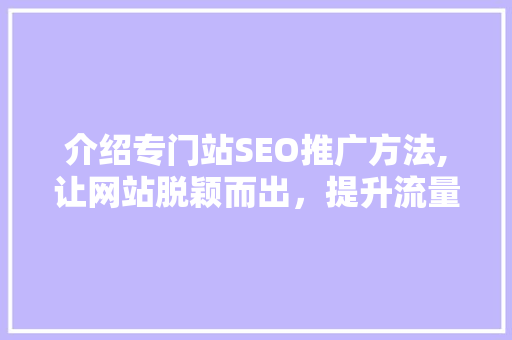 介绍专门站SEO推广方法,让网站脱颖而出，提升流量与转化率