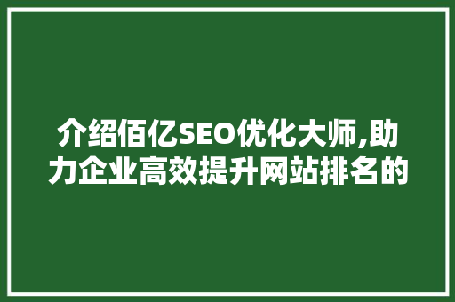 介绍佰亿SEO优化大师,助力企业高效提升网站排名的秘密武器