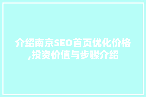 介绍南京SEO首页优化价格,投资价值与步骤介绍