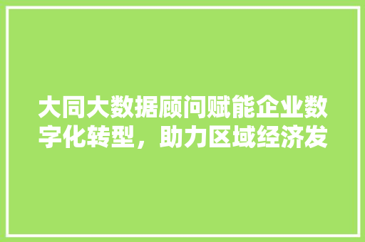 大同大数据顾问赋能企业数字化转型，助力区域经济发展  第1张
