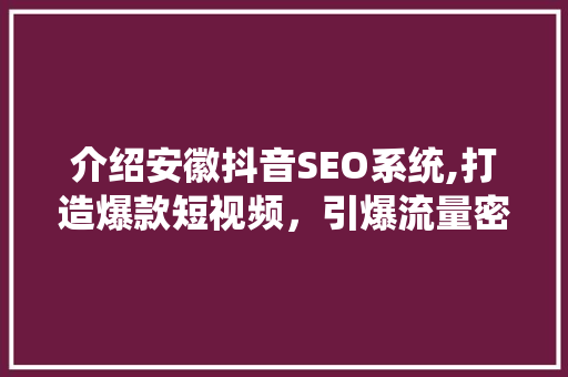 介绍安徽抖音SEO系统,打造爆款短视频，引爆流量密码