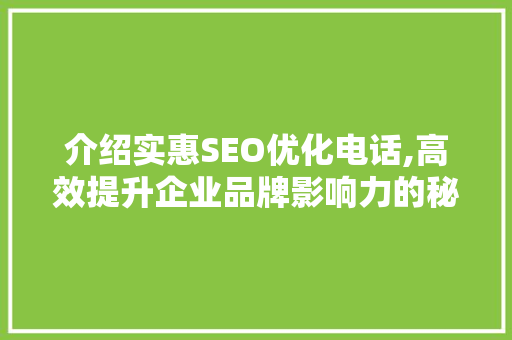 介绍实惠SEO优化电话,高效提升企业品牌影响力的秘密武器  第1张