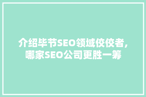 介绍毕节SEO领域佼佼者,哪家SEO公司更胜一筹  第1张