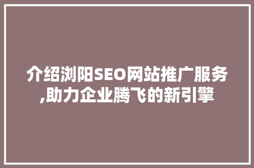 介绍浏阳SEO网站推广服务,助力企业腾飞的新引擎