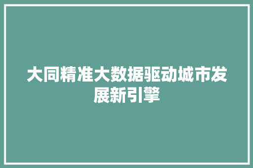 大同精准大数据驱动城市发展新引擎