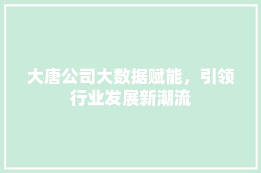 大唐公司大数据赋能，引领行业发展新潮流