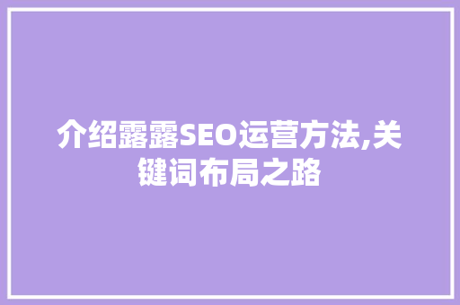 介绍露露SEO运营方法,关键词布局之路