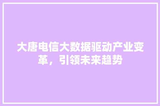 大唐电信大数据驱动产业变革，引领未来趋势