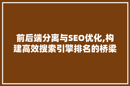 前后端分离与SEO优化,构建高效搜索引擎排名的桥梁