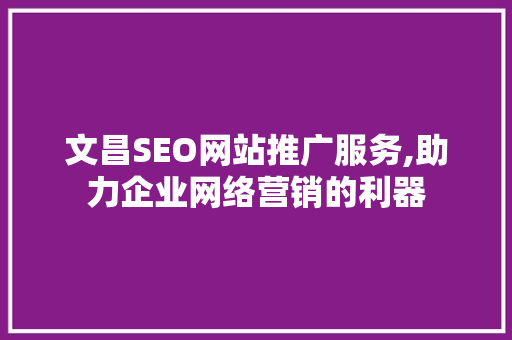 文昌SEO网站推广服务,助力企业网络营销的利器