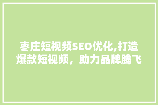 枣庄短视频SEO优化,打造爆款短视频，助力品牌腾飞