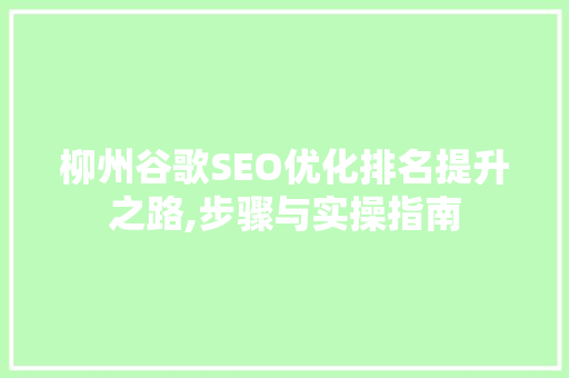 柳州谷歌SEO优化排名提升之路,步骤与实操指南