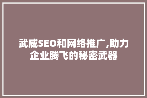 武威SEO和网络推广,助力企业腾飞的秘密武器