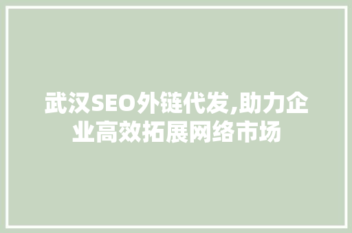 武汉SEO外链代发,助力企业高效拓展网络市场