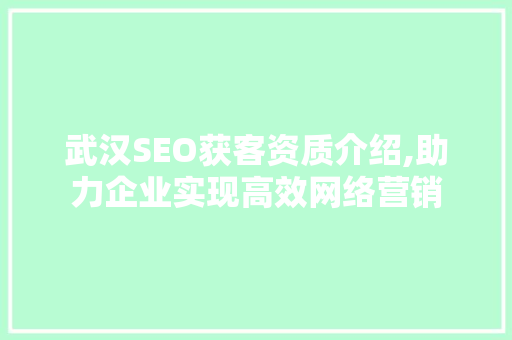 武汉SEO获客资质介绍,助力企业实现高效网络营销