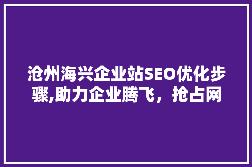 沧州海兴企业站SEO优化步骤,助力企业腾飞，抢占网络市场制高点
