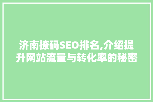 济南撩码SEO排名,介绍提升网站流量与转化率的秘密武器