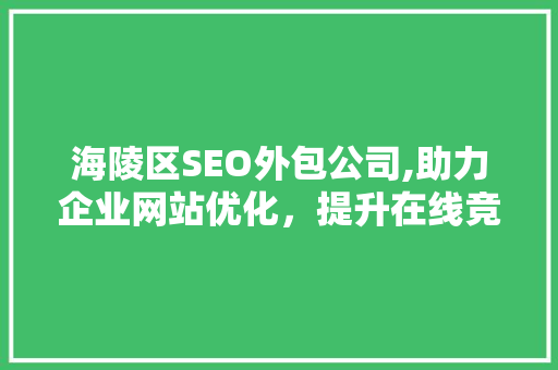 海陵区SEO外包公司,助力企业网站优化，提升在线竞争力