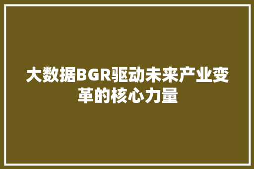 大数据BGR驱动未来产业变革的核心力量  第1张