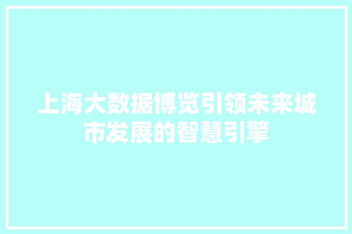 上海大数据博览引领未来城市发展的智慧引擎