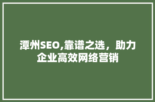潭州SEO,靠谱之选，助力企业高效网络营销