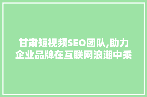 甘肃短视频SEO团队,助力企业品牌在互联网浪潮中乘风破浪