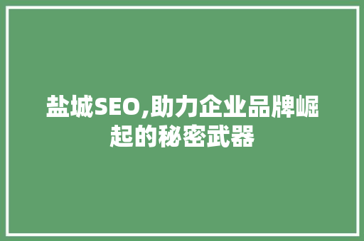 盐城SEO,助力企业品牌崛起的秘密武器