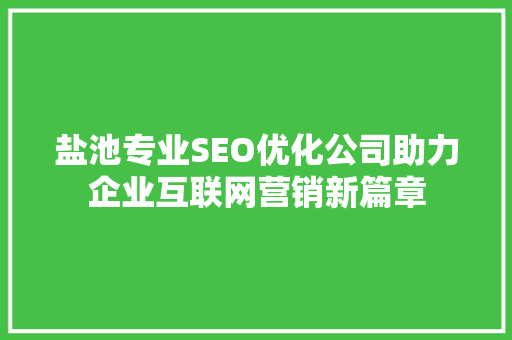 盐池专业SEO优化公司助力企业互联网营销新篇章