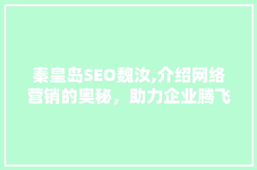秦皇岛SEO魏汝,介绍网络营销的奥秘，助力企业腾飞