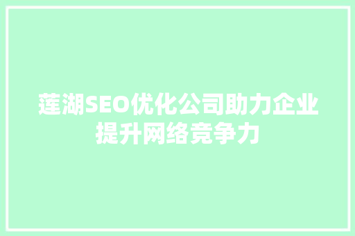 莲湖SEO优化公司助力企业提升网络竞争力