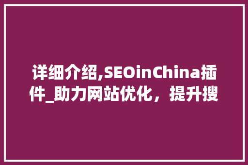 详细介绍,SEOinChina插件_助力网站优化，提升搜索引擎排名
