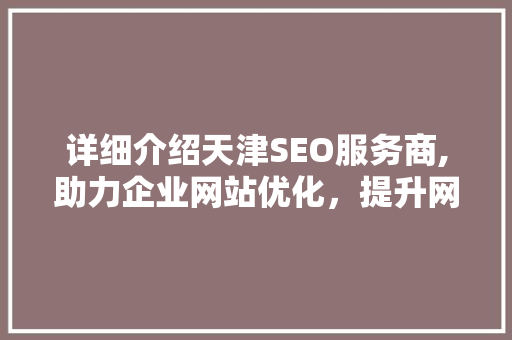 详细介绍天津SEO服务商,助力企业网站优化，提升网络竞争力