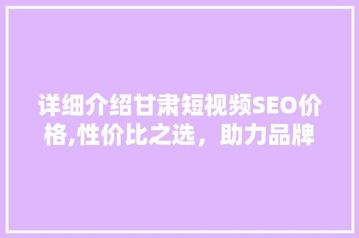 详细介绍甘肃短视频SEO价格,性价比之选，助力品牌腾飞