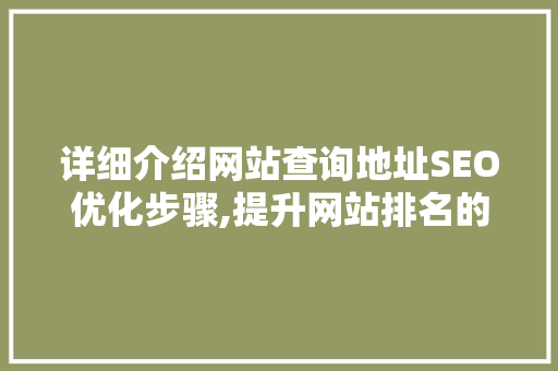 详细介绍网站查询地址SEO优化步骤,提升网站排名的利器