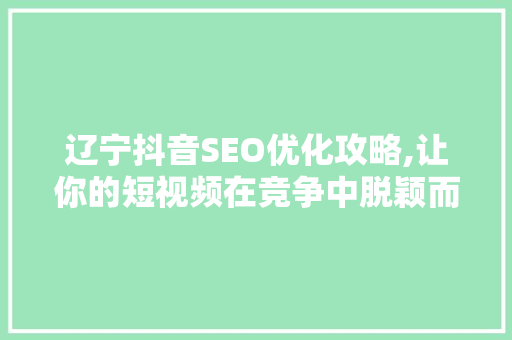 辽宁抖音SEO优化攻略,让你的短视频在竞争中脱颖而出