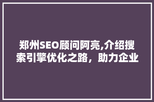郑州SEO顾问阿亮,介绍搜索引擎优化之路，助力企业腾飞  第1张