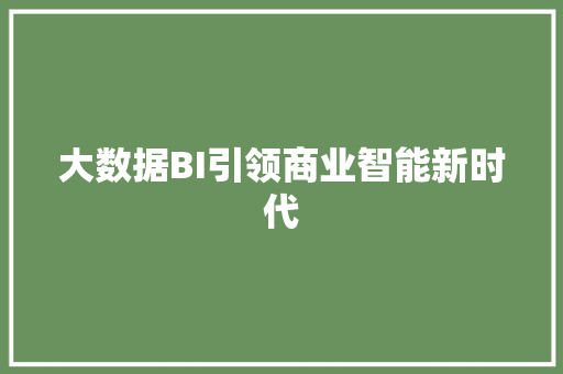 大数据BI引领商业智能新时代  第1张