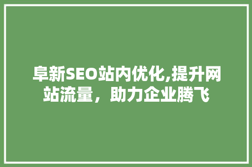 阜新SEO站内优化,提升网站流量，助力企业腾飞